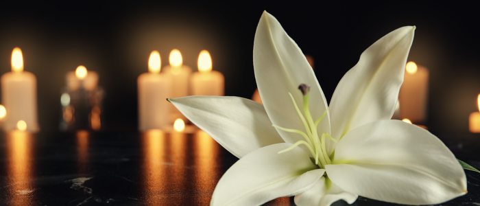 Lily flower and burning candles
